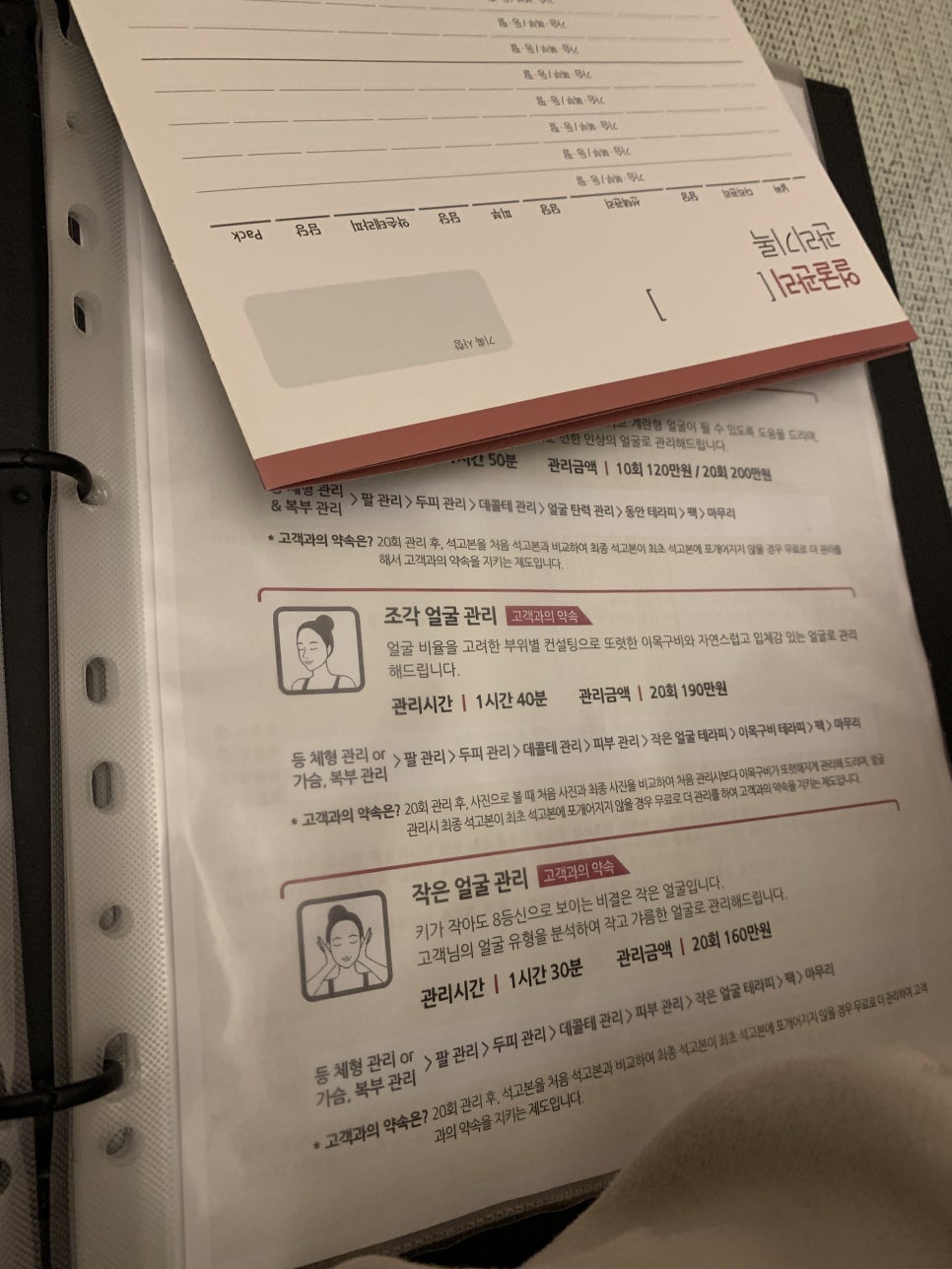 플랜휴 이미지