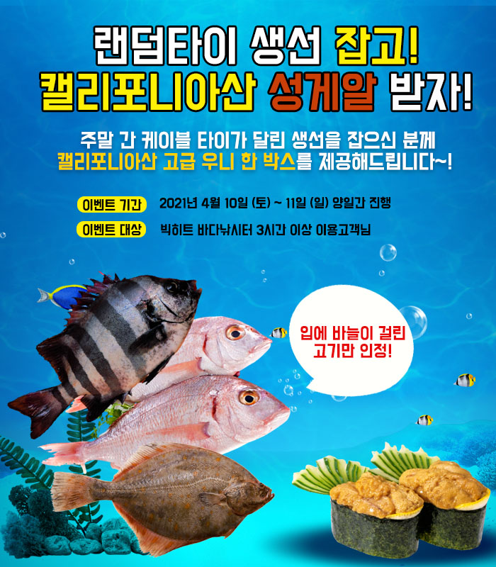 빅히트바다낚시터 이미지