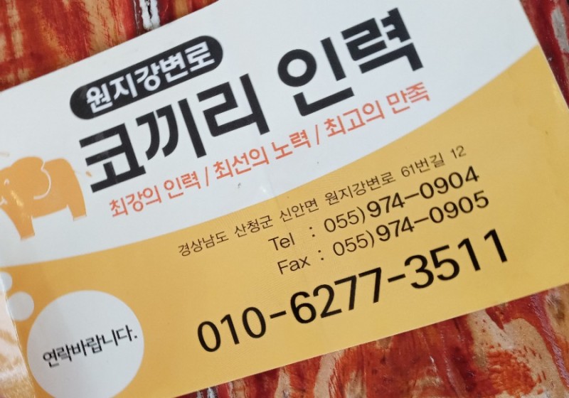 서부인력사무소 이미지