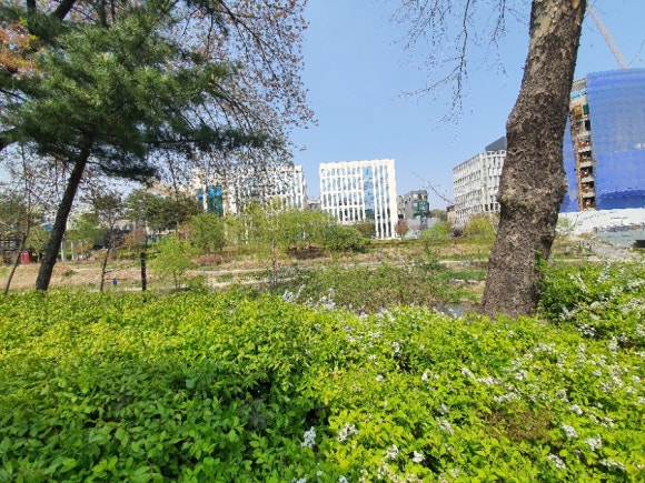 세곡스마일 이미지