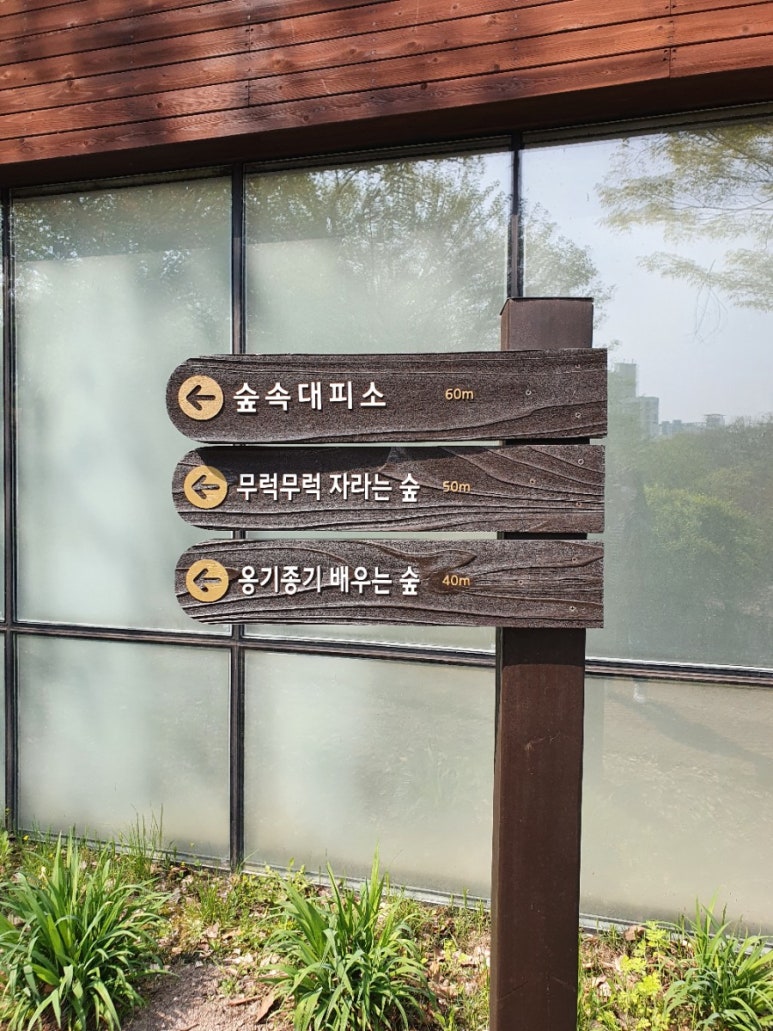 북서울꿈의숲 유아숲체험원 이미지