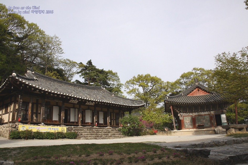 신라향 이미지