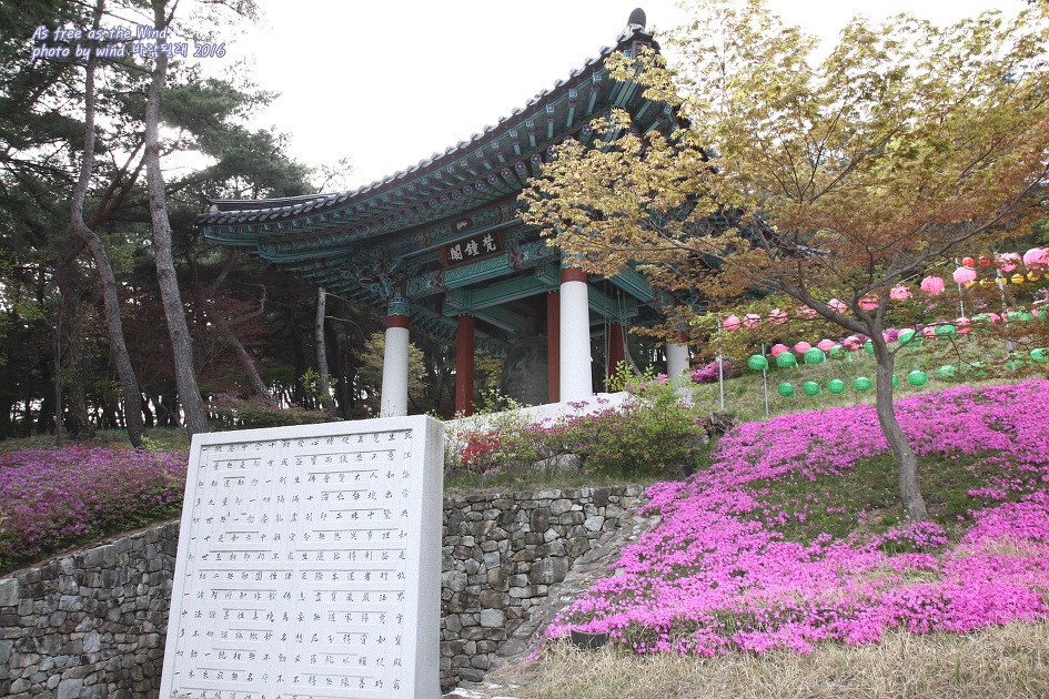 신라향 이미지
