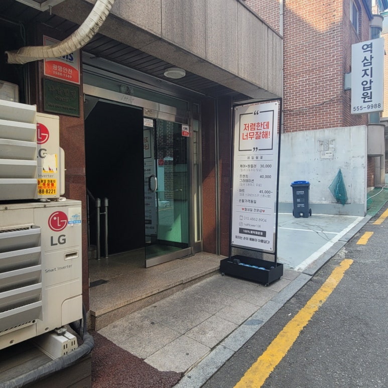 네일쉴꽃 이미지