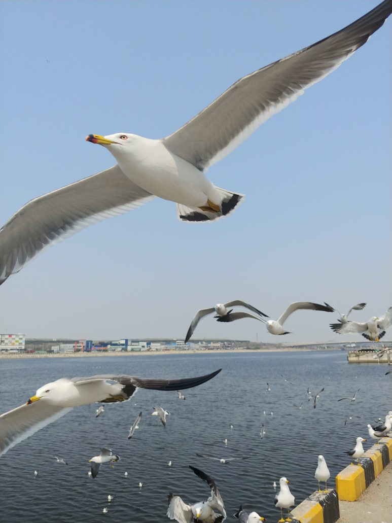 아라한식부페 이미지