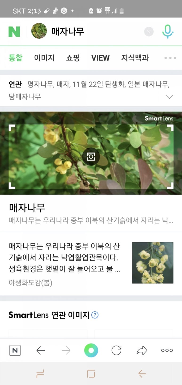 카페투유 이미지