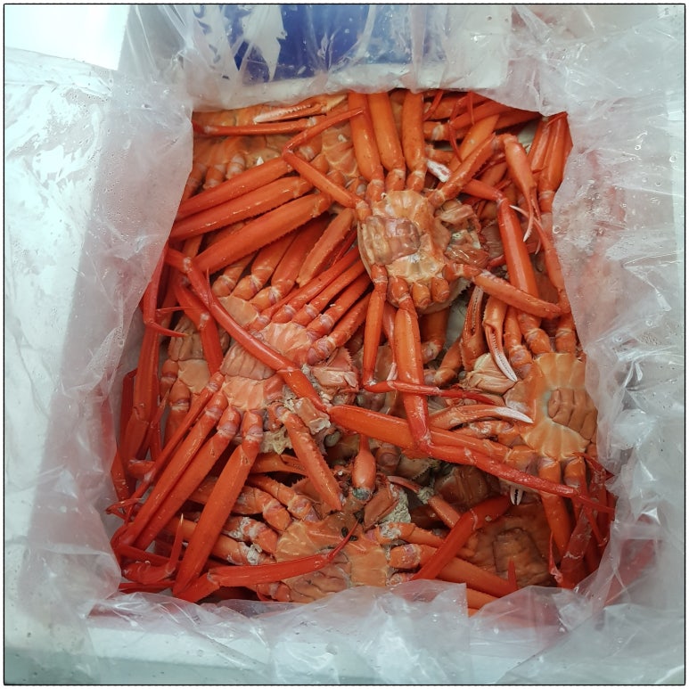 대박이네농수산 이미지