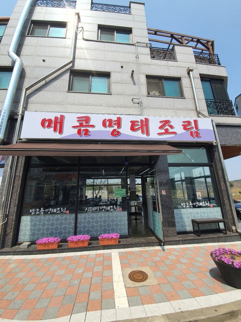 명태혁명 이미지