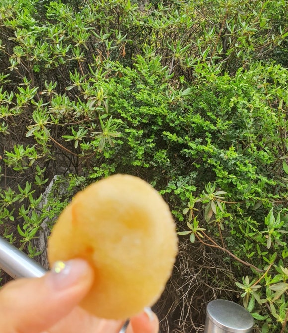 세곡스마일 이미지