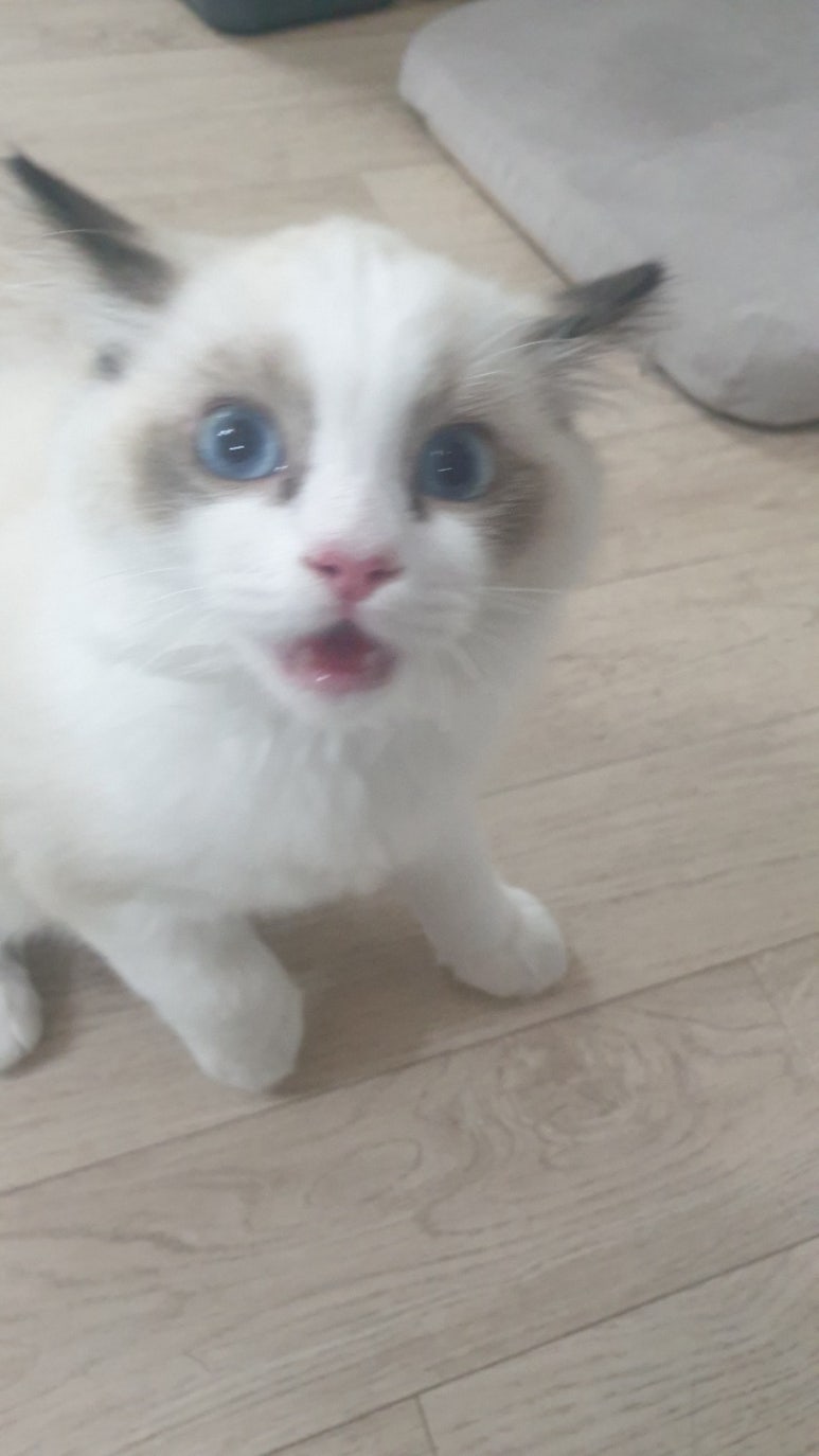 큰두레박 이미지