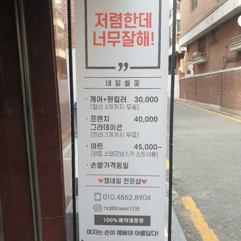 네일쉴꽃 이미지