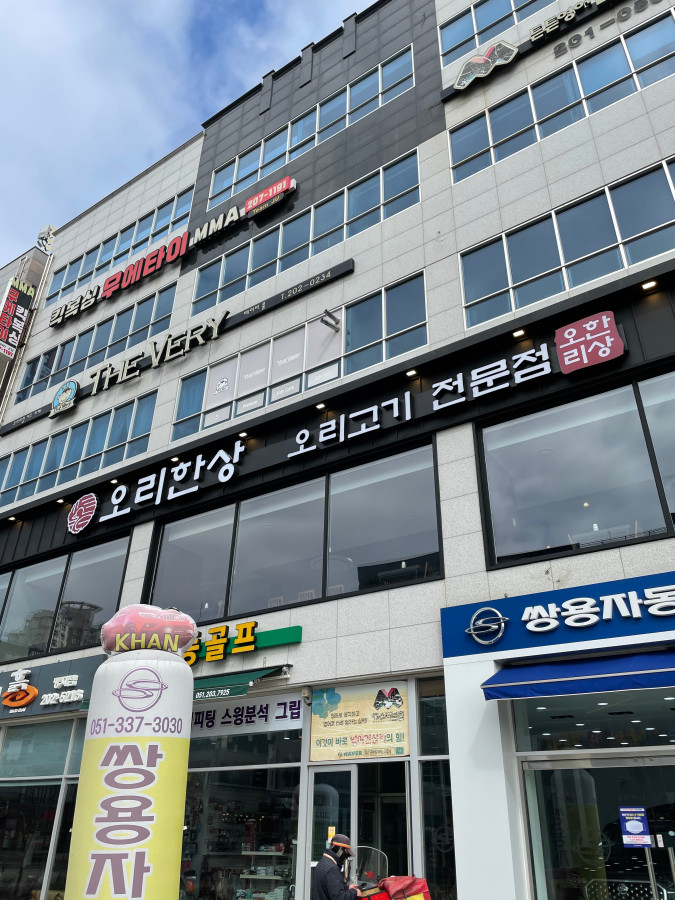 국제오리 이미지