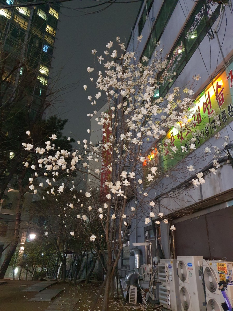 초콜릿노래연습장 이미지
