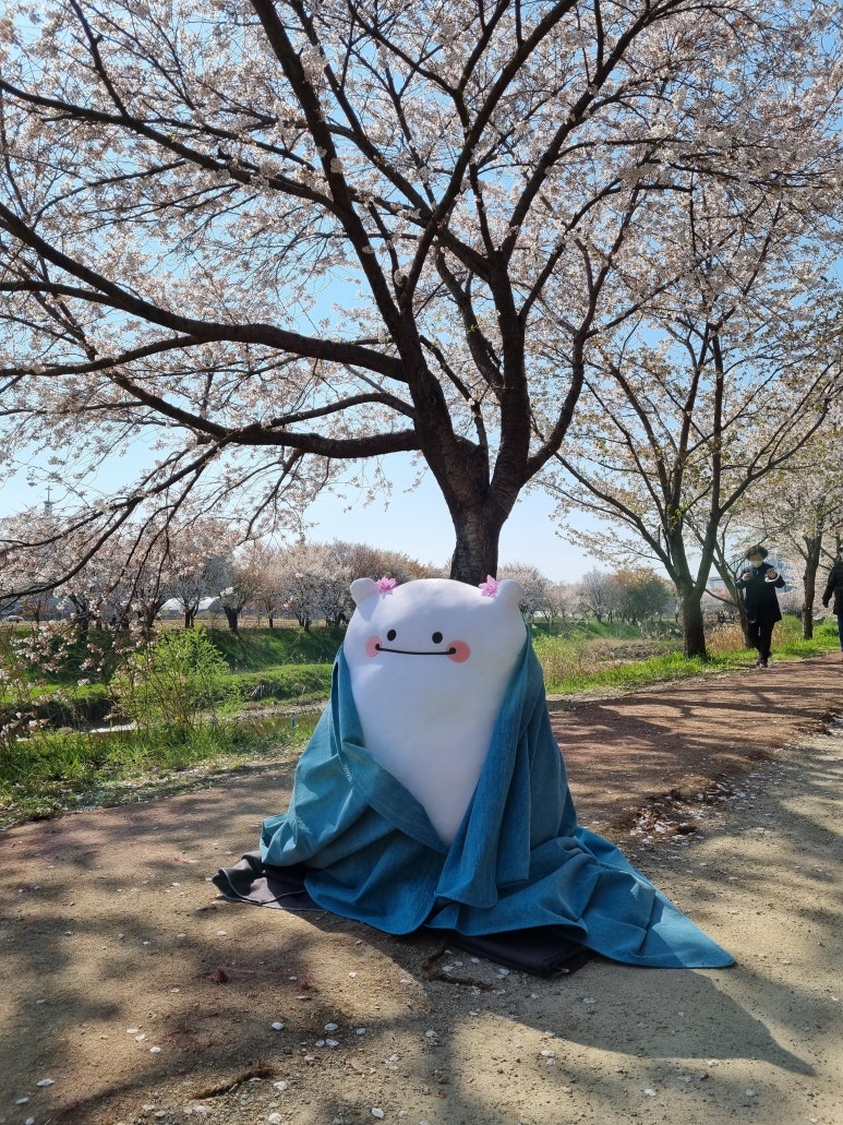 솜솜아이스 이미지