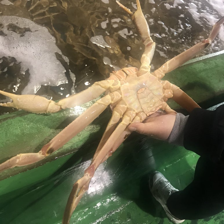 주식회사 맛있는날 이미지