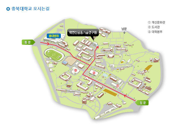 더마피스 이미지
