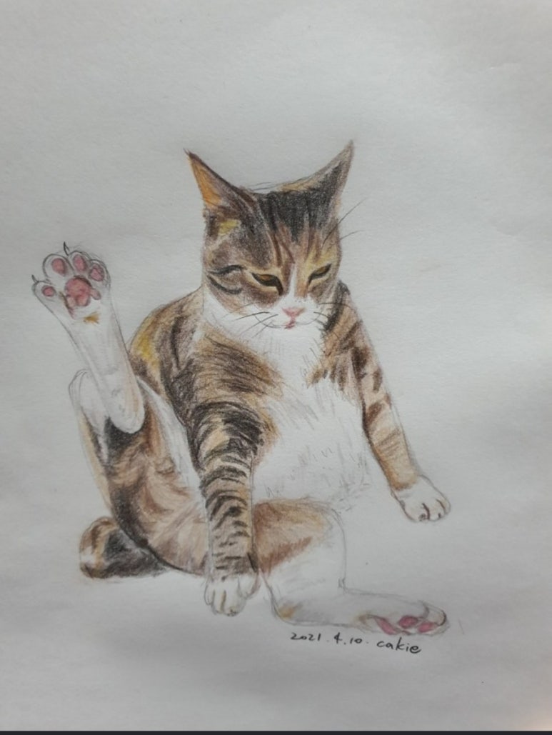 보라정원 이미지