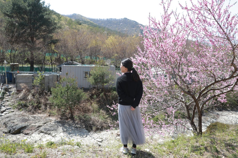 비학산자연휴양림 이미지