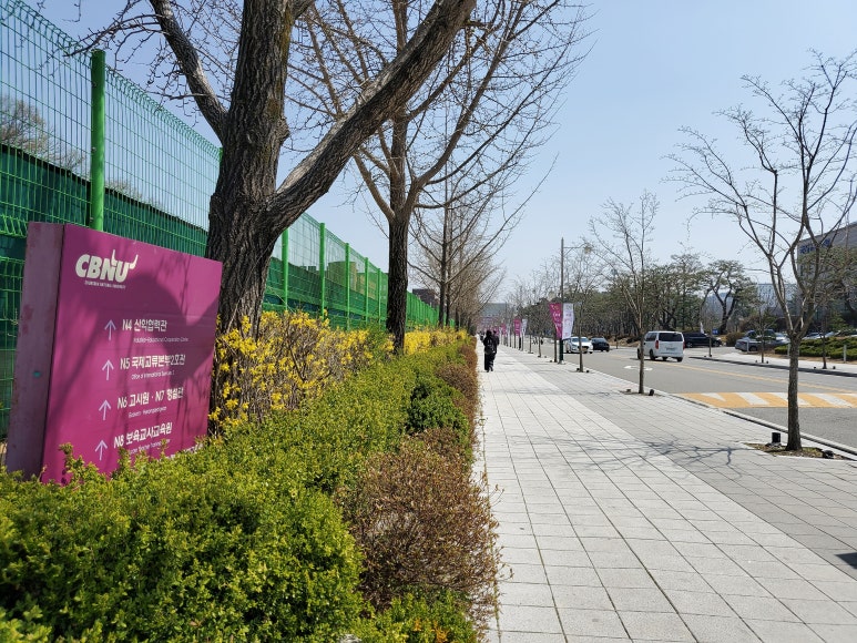 더마피스 이미지