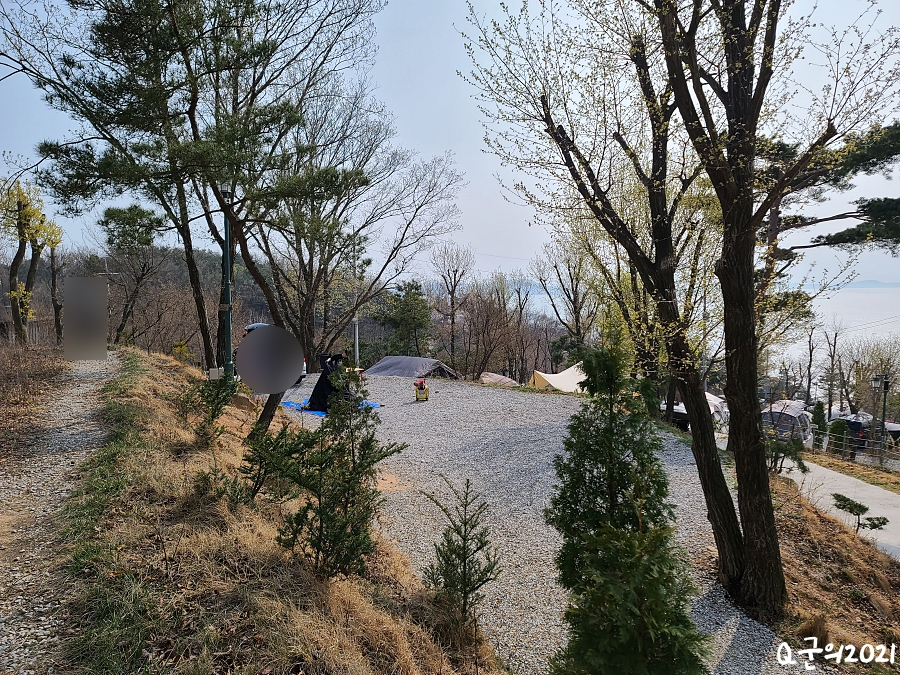코끼리 관광농원 이미지