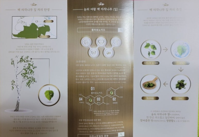 더스노우퀸즈티 이미지