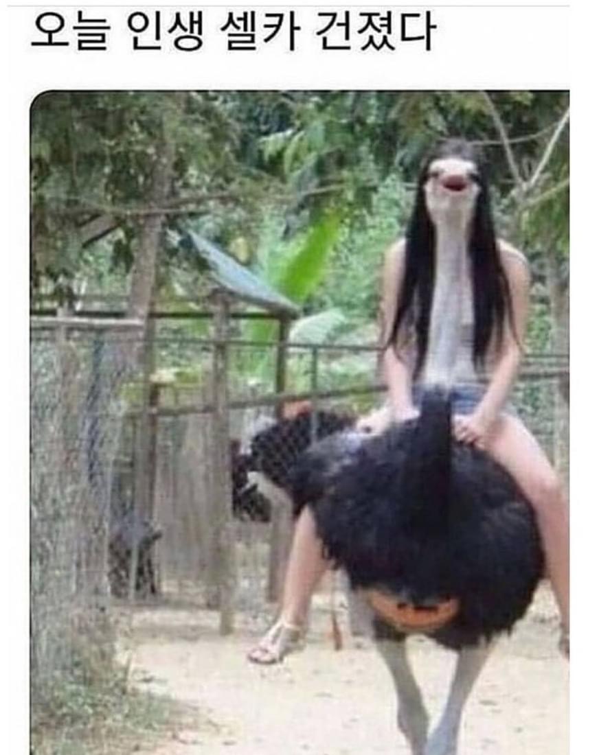 (주)다담 이미지
