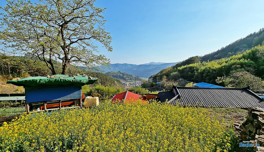 그날,미장원 이미지