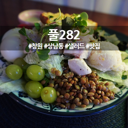풀282 이미지