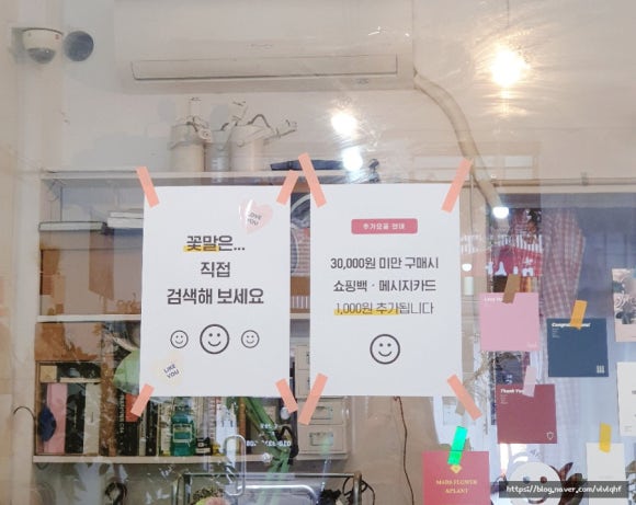 플라마스 이미지