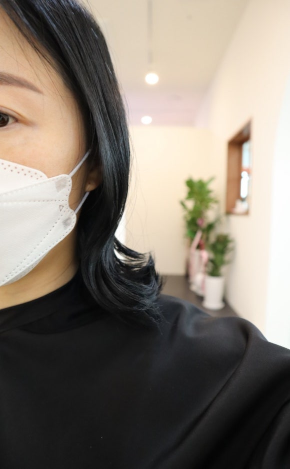 하임 염색 이미지
