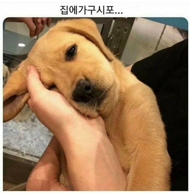 설렘 이미지