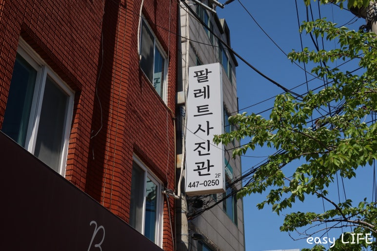 Life현상소 이미지