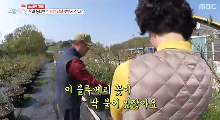 이진농원 이미지
