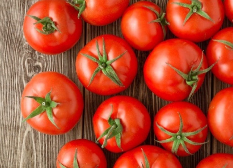 토마토(TOMATO.p) 이미지