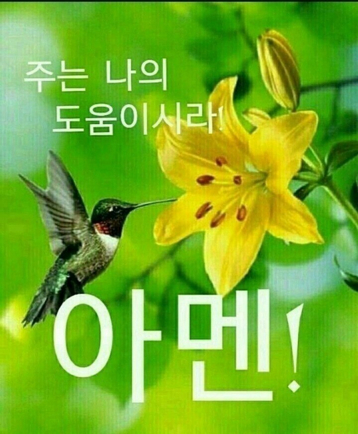 (주)삼일 이미지