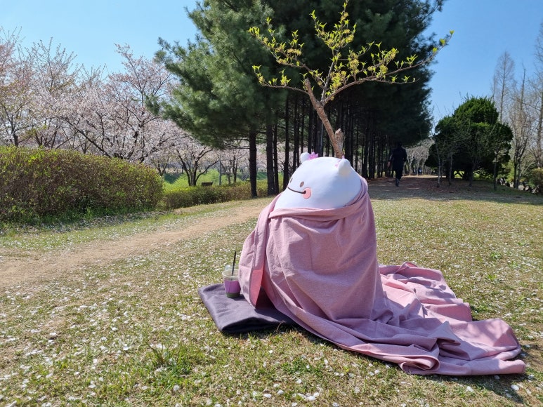 솜솜아이스 이미지