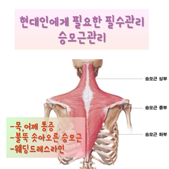 끌림 스킨케어 이미지