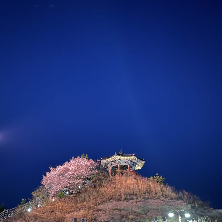 오동이네튀김 이미지