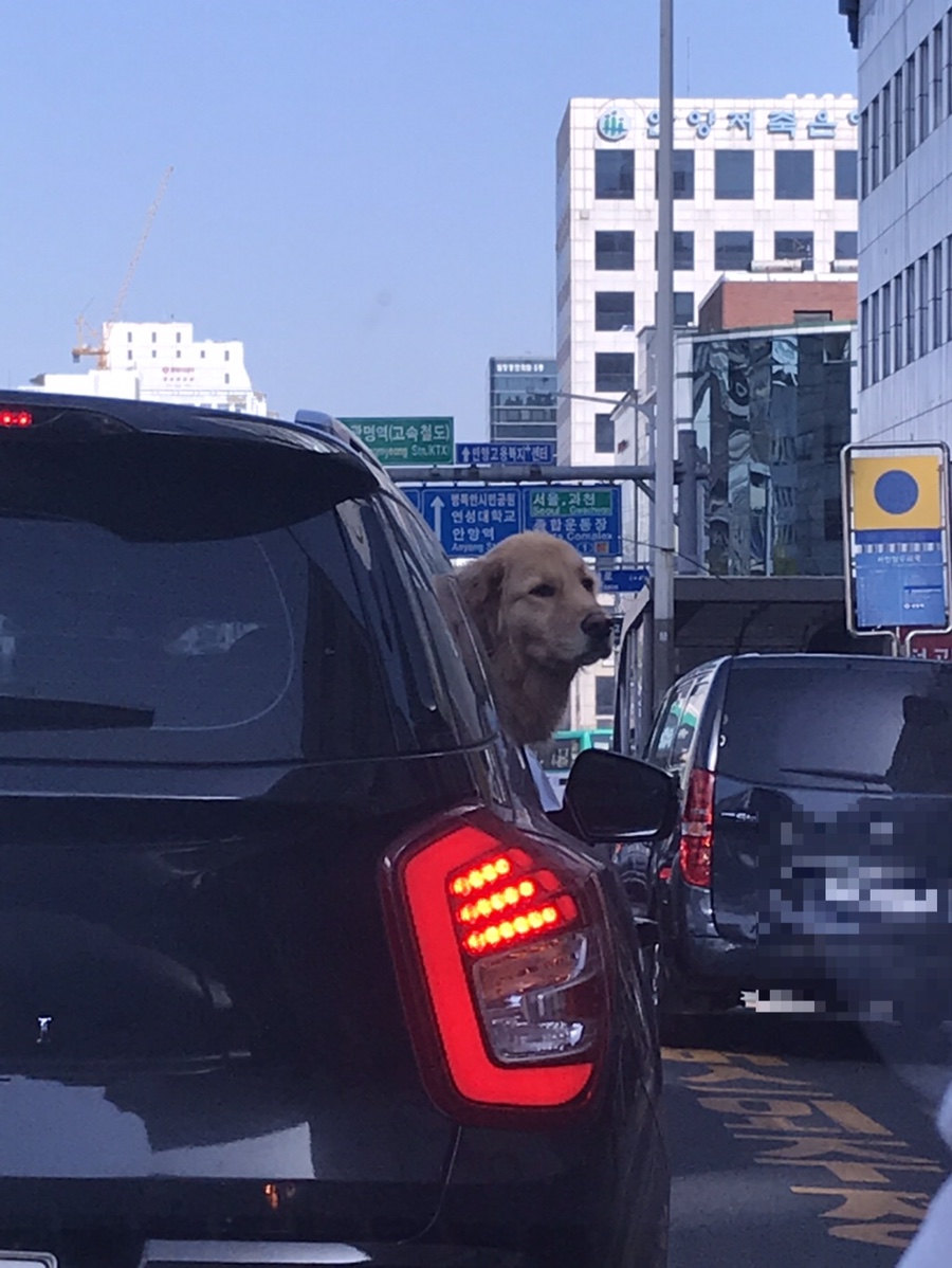 수앤수스킨케어 이미지