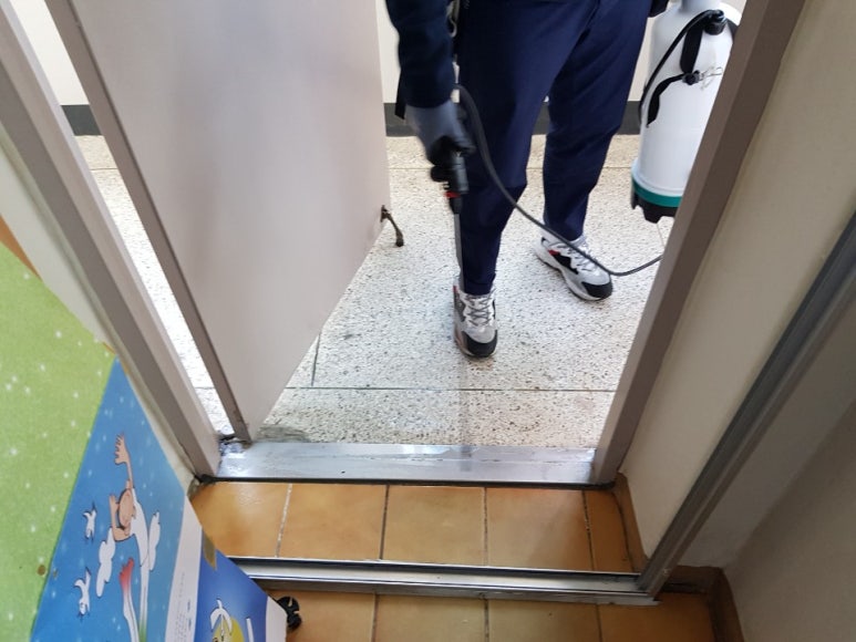 그린라인 이미지
