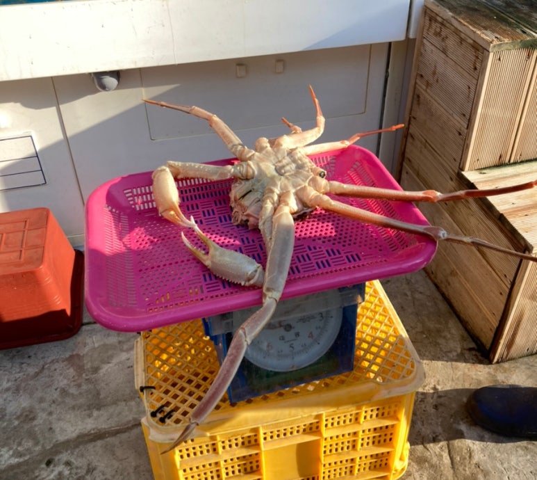 일번지수산 이미지