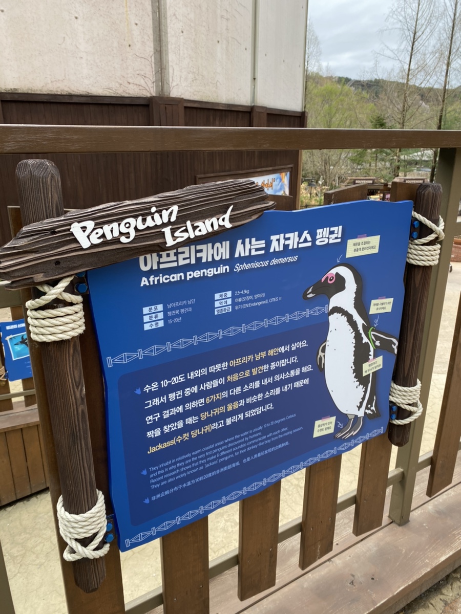 쥴서 이미지