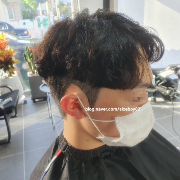 로이샾 이미지