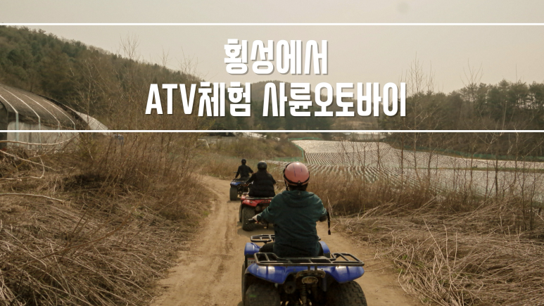 둔내레포츠 이미지