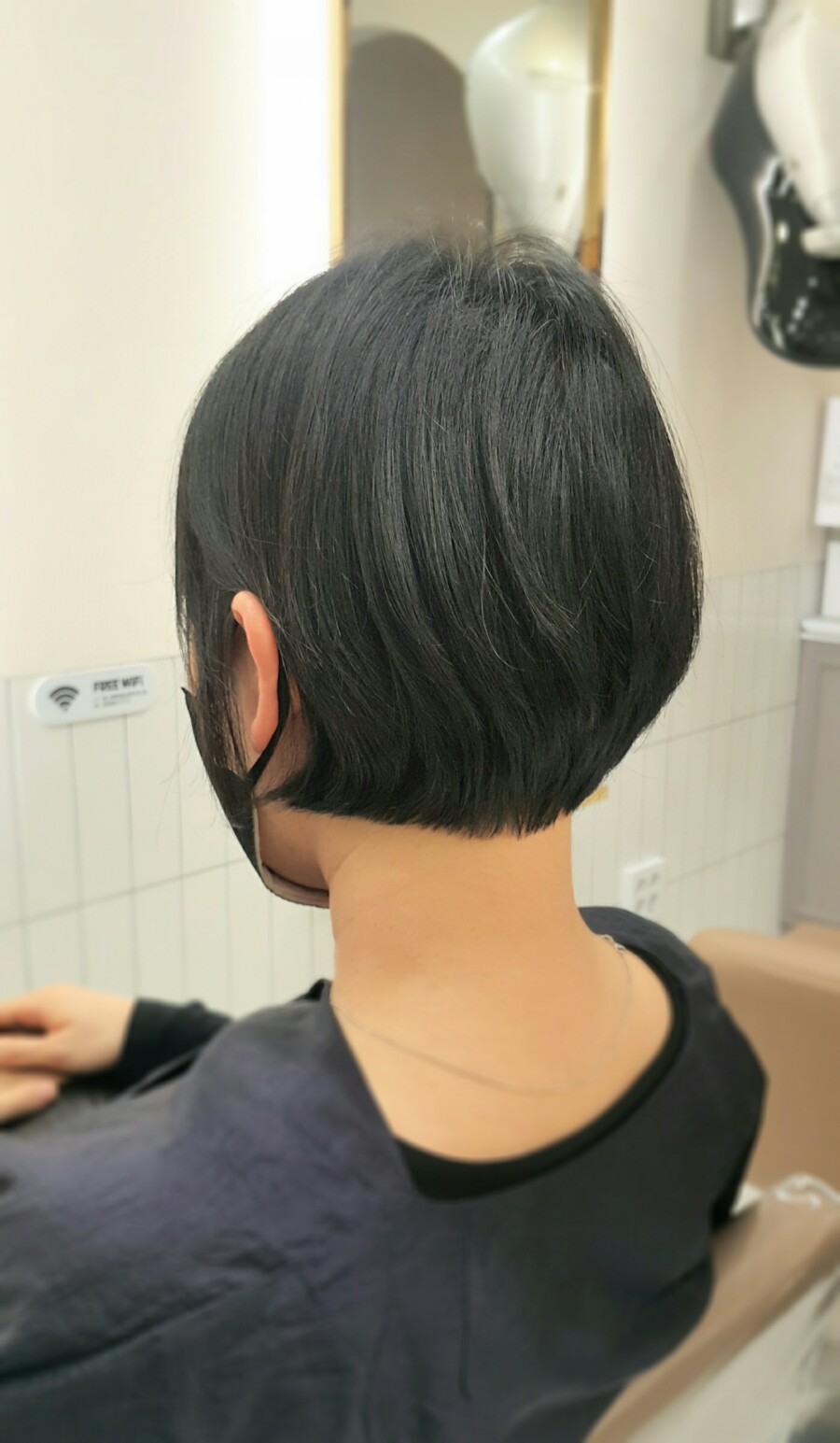 도유보네르 이미지