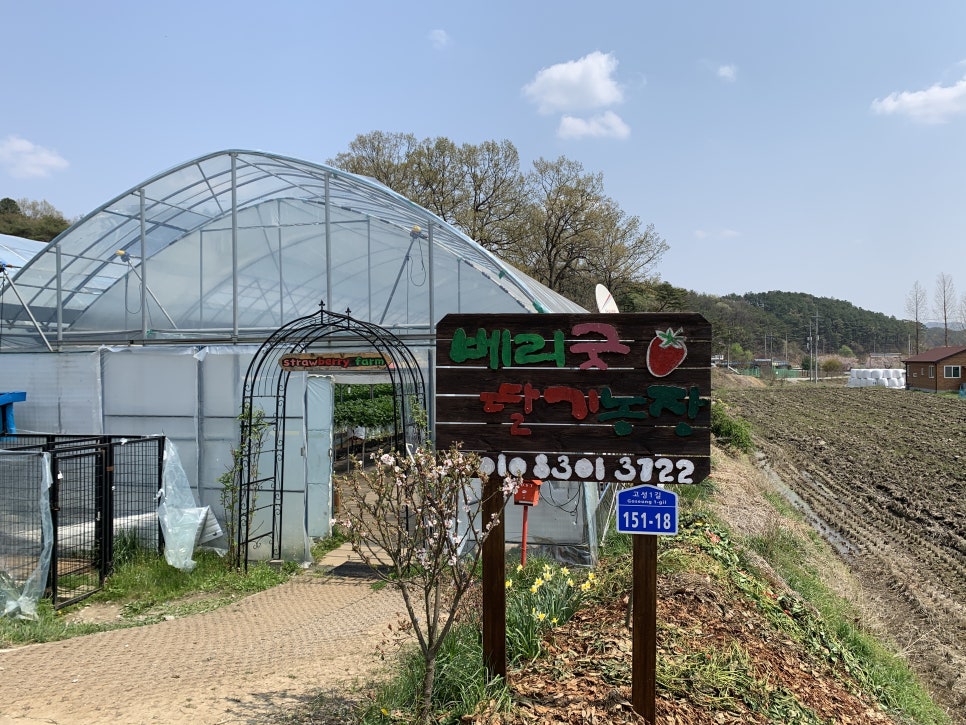 베리굿체험농장 이미지