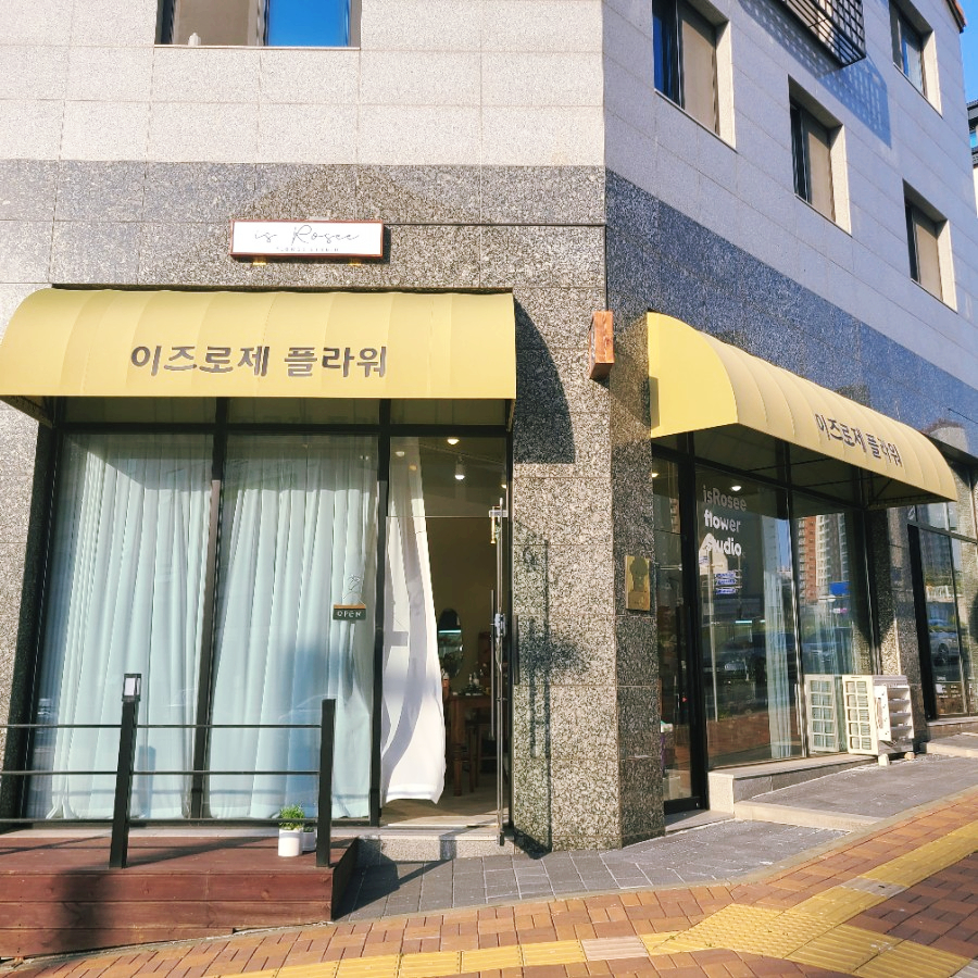 이즈로제 이미지