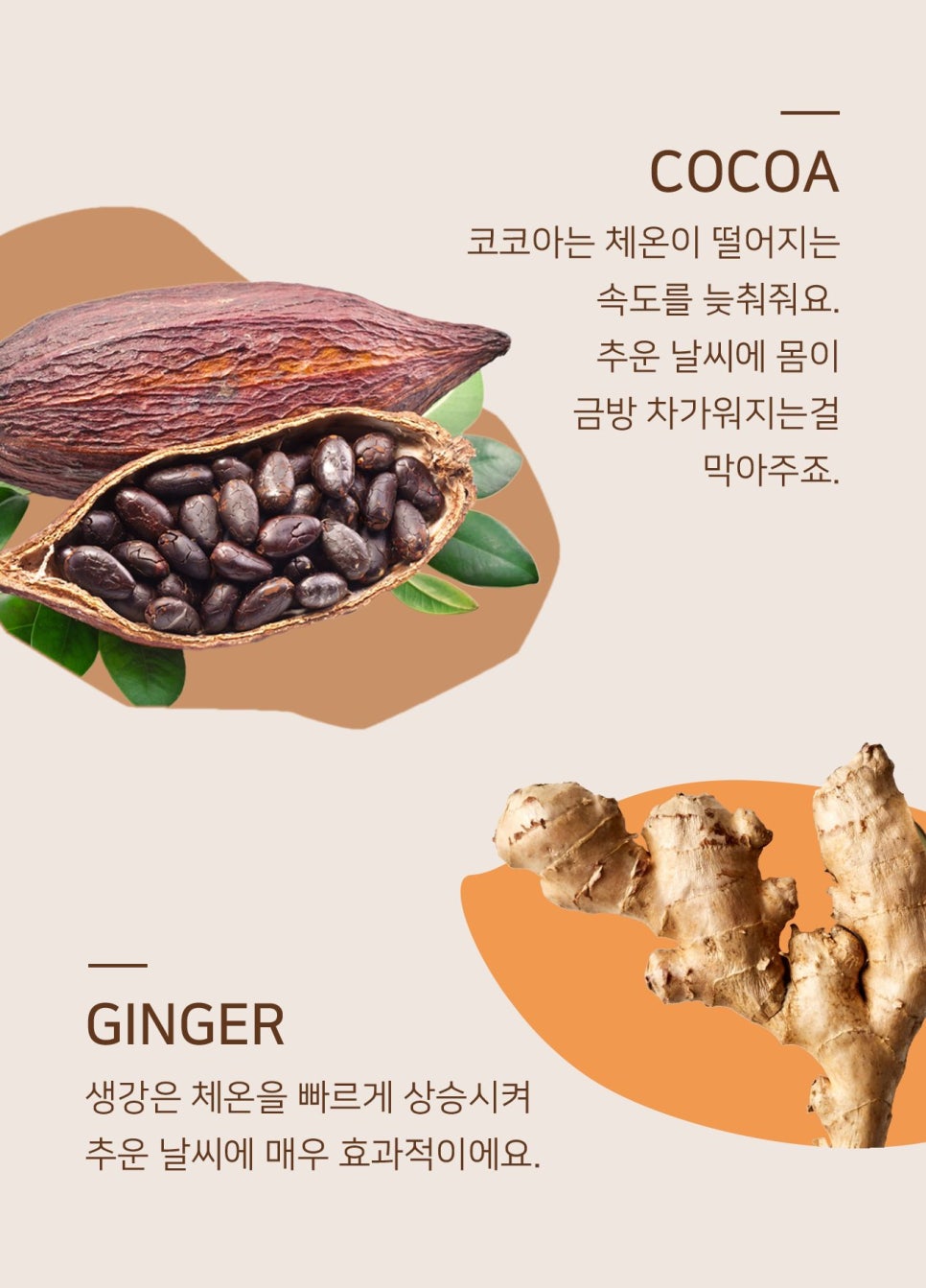 코코플러스 이미지