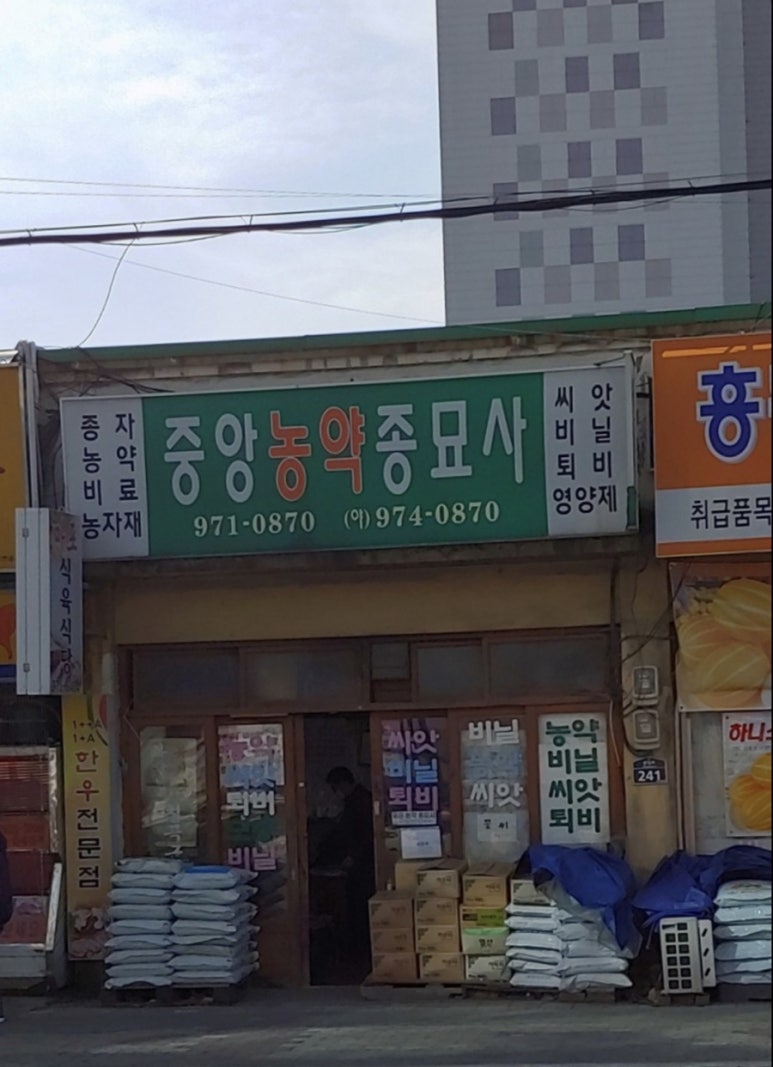 중앙농약종묘사 이미지