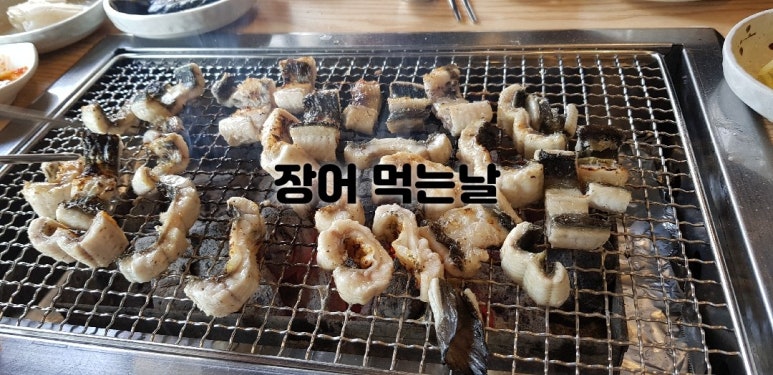 바람난장어 이미지
